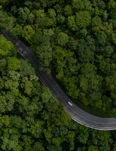 为地球留生机 为未来筑根基