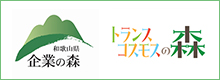 transcosmos参加日本和歌山县“企业之森”森林保护活动